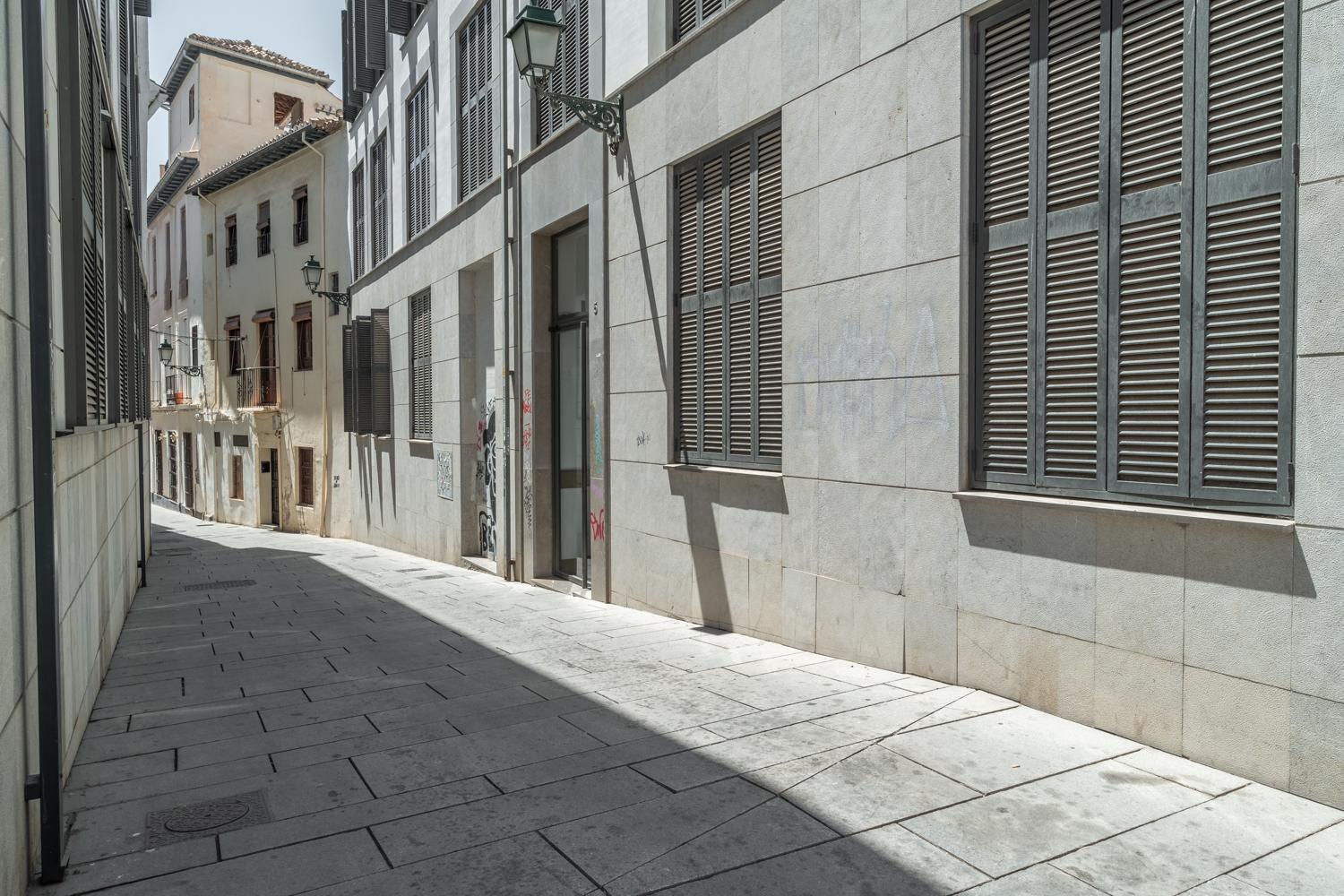 Tuguest Postigo I Catedral Apartment - Free Parking グラナダ エクステリア 写真